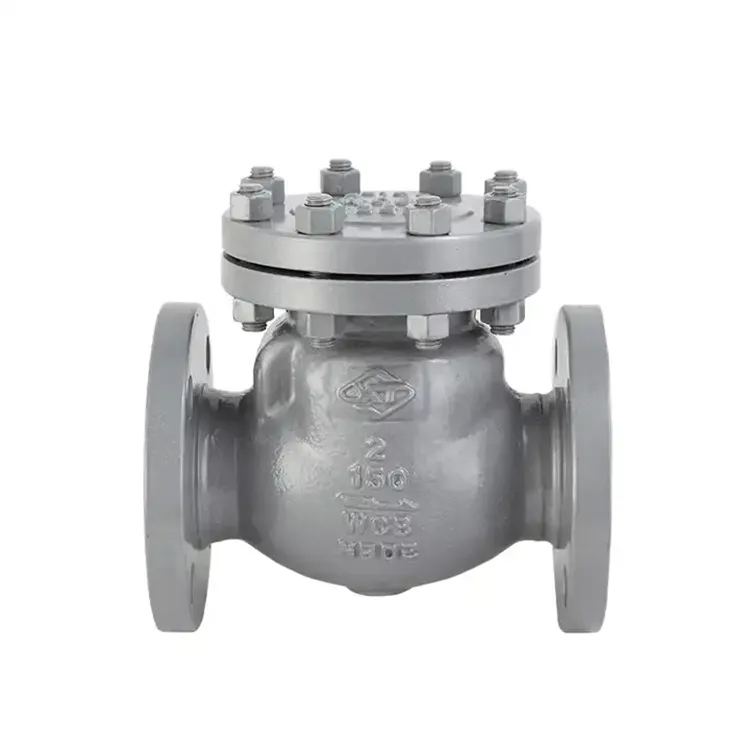 Van kiểm tra không quay trở lại 1 inch